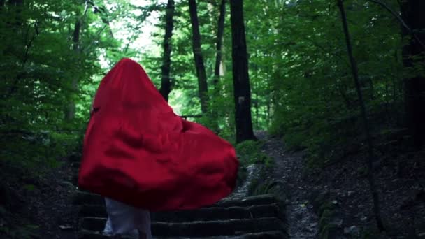 Hermosa misteriosa capucha roja caminando en el bosque — Vídeo de stock