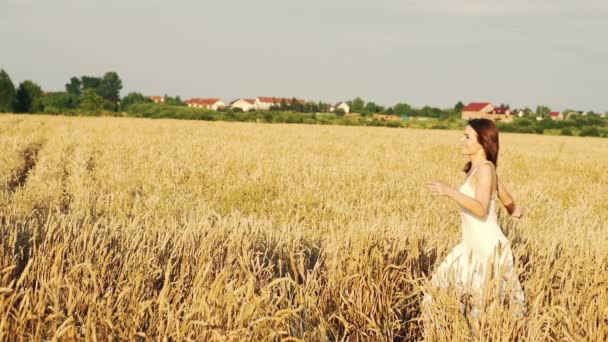 Fiatal nő fut a búzamező — Stock videók