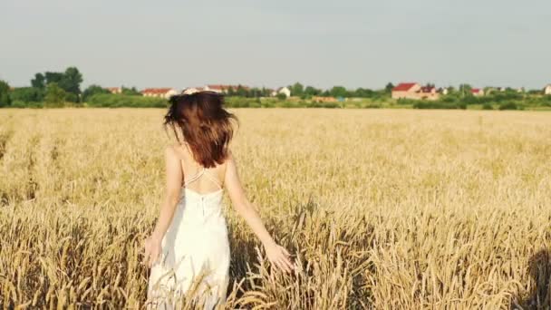 Casal correndo no campo de trigo — Vídeo de Stock