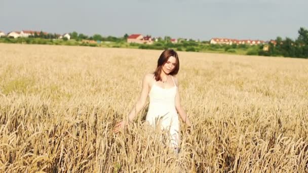 Mujer caminando a través del campo de trigo — Vídeos de Stock