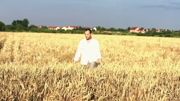 Young farmer walking through wheat field — Stock Video