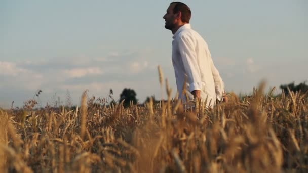 Homem feliz correndo no campo de trigo — Vídeo de Stock