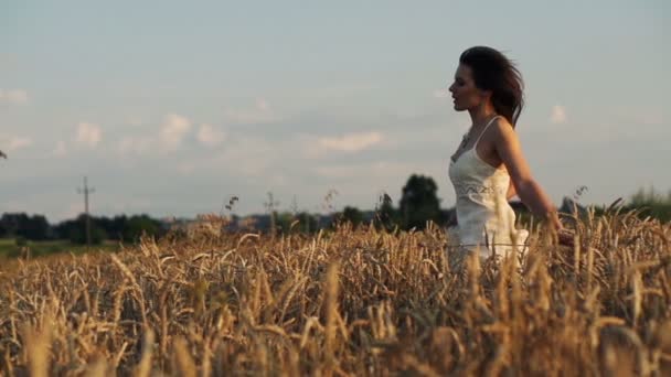 Mujer joven corriendo en el campo de trigo — Vídeos de Stock