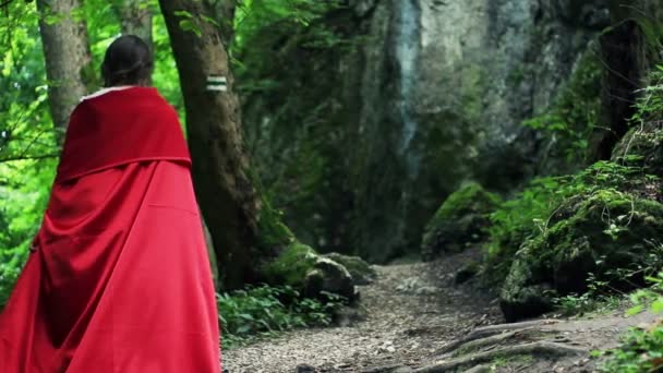 Misteriosa capucha roja caminando en el bosque — Vídeo de stock