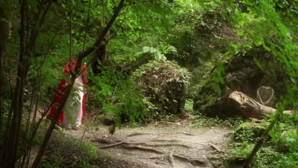 Красива таємнича червона шапочка, що йде в лісі — стокове відео