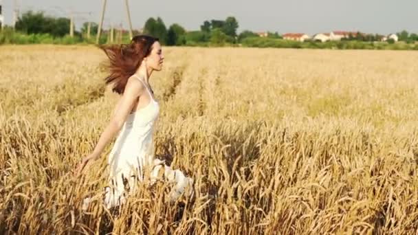 Mujer joven corriendo en el campo de trigo — Vídeo de stock