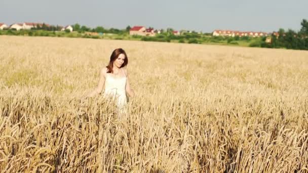 Woman walking through wheat field — Stock Video