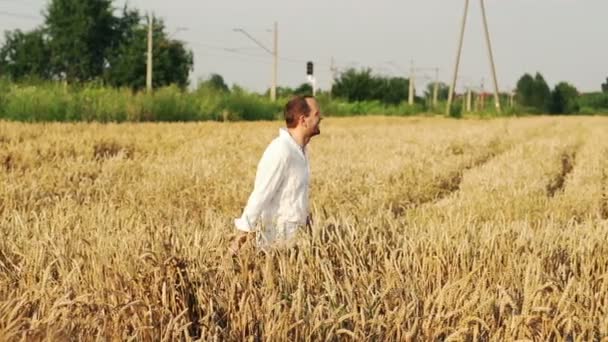 麦畑を走っている幸せな男 — ストック動画