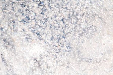 Donmuş hava kabarcıkları buza bulanmıştı ve güneşte parlıyordu.