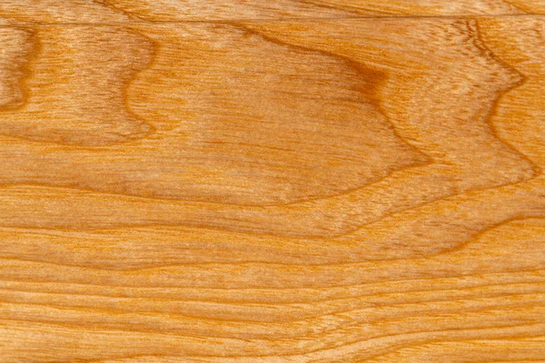 Close Ash Texture Natural Wood Grain Patterns Smooth Wooden Surface — Stock Photo, Image