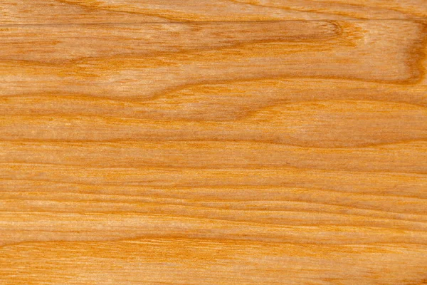 Close Ash Texture Avec Des Motifs Grain Bois Naturel Surface — Photo