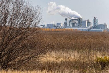 Dumanlı Kimyasal Fabrika Fabrikası. Duman emisyonu. Petrol ve gazda damıtma kolonu, varil ve borusu olan Petrokimya endüstrisi. Ekoloji ve çevre koruma sorunları, hava kirliliği