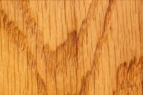 Facade surface of kitchen furniture. Close-up texture Oak Wood for Background. Light brown shade with natural pattern grain line and wave