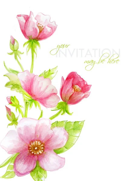 Watercolor greeting card with pink flowers. — ストック写真