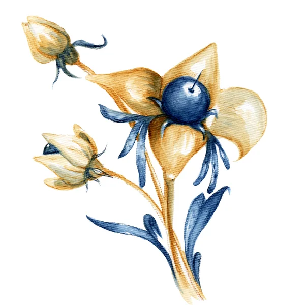 Watercolor flowers design element — Stock Photo, Image