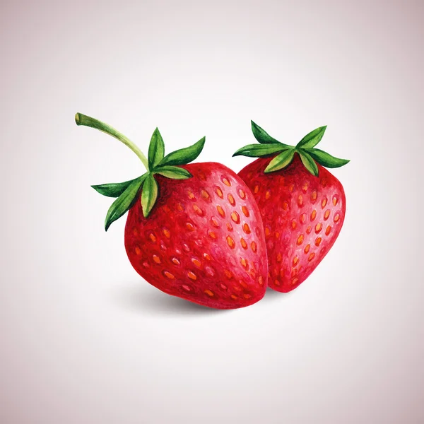 Aquarelle fraises isolée sur blanc . — Image vectorielle