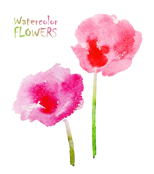 Flores de aquarela —  Vetores de Stock