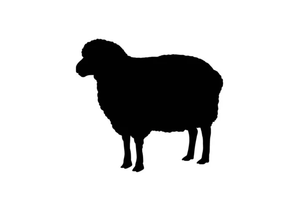 白色背景的黑羊轮廓 — 图库矢量图片#