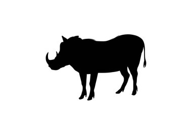 Beyaz arkaplanda siyah yaban domuzu silueti