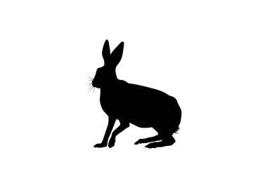 Beyaz arkaplanda siyah tavşan silueti
