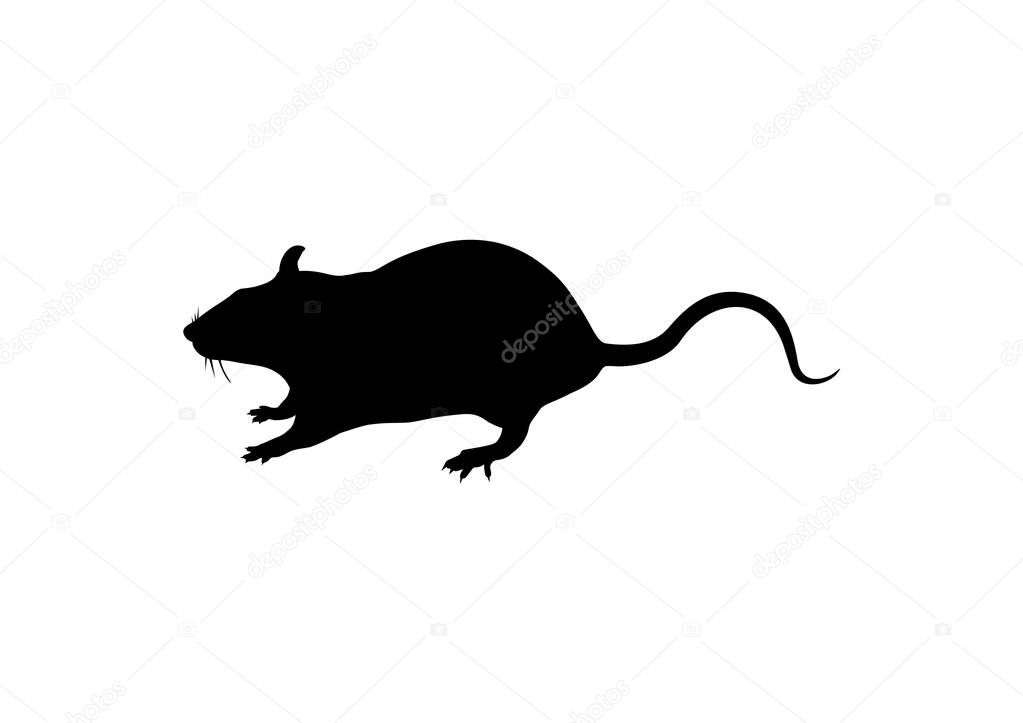 Black mouse silhouette on a white background