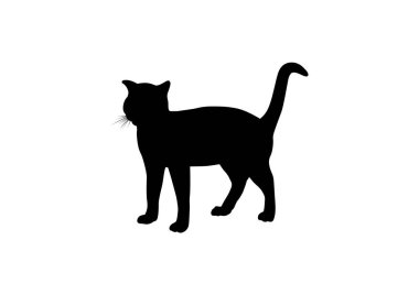 Beyaz arkaplanda siyah kedi silueti