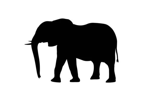 Silhueta Elefante Preto Fundo Branco — Vetor de Stock
