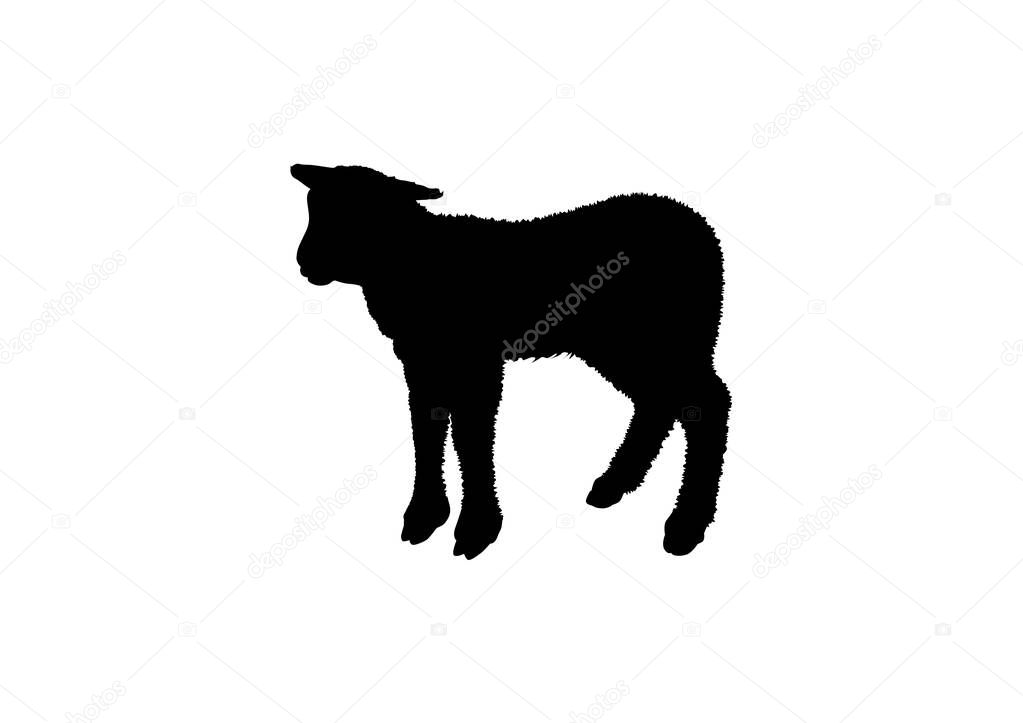 Black lamb silhouette on a white background