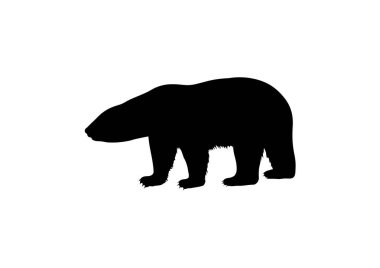 Beyaz arka planda Kutup Ayısı silueti