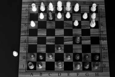 Satranç tahtasında fotoğraflanmış.