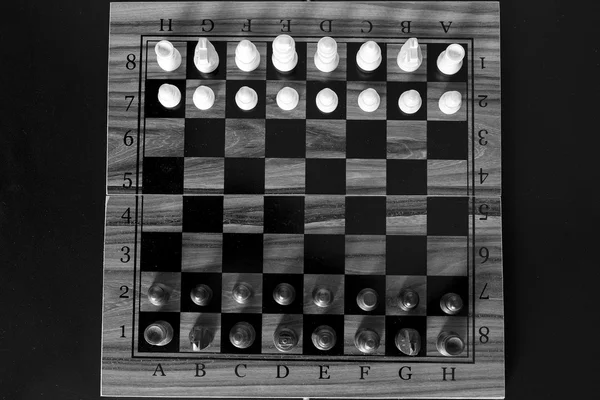 Schach auf einem Schachbrett fotografiert — Stockfoto