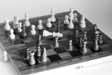 Satranç tahtasında fotoğraflanmış.