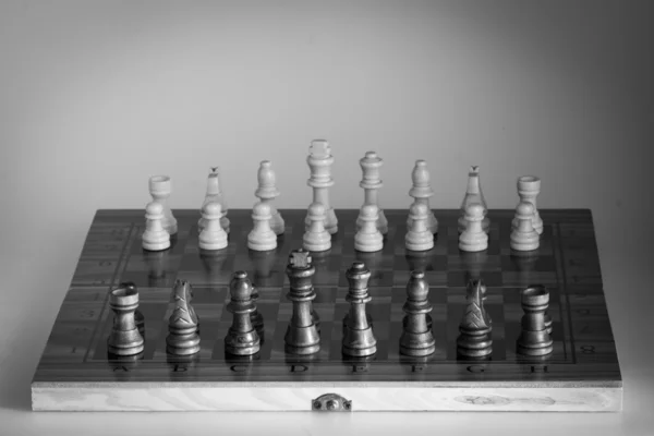 Chess photographed on a chessboard — Stock Photo, Image