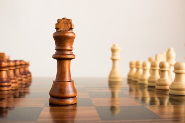 Satranç tahtasında fotoğraflanmış.