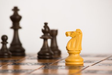 Satranç tahtasında fotoğraflanmış.