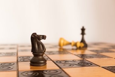 Satranç tahtasında fotoğraflanmış.