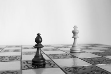 Satranç tahtasında fotoğraflanmış.