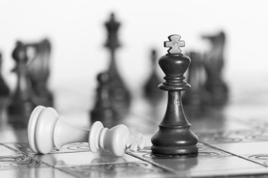 Satranç tahtasında fotoğraflanmış.