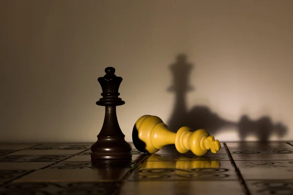 stock image Chess photographed on a chessboard