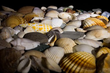 Deniz yatağı üzerinde koyu arka plan fotoğrafı