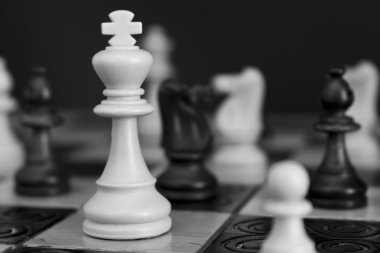 Satranç tahtasında fotoğraflanmış.