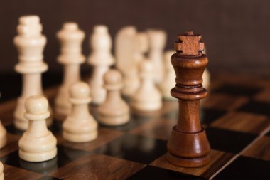 Satranç tahtasında fotoğraflanmış.