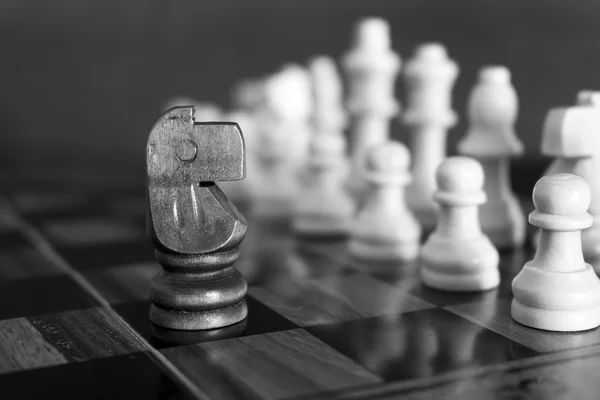 Chess photographed on a chessboard — Stock Photo, Image