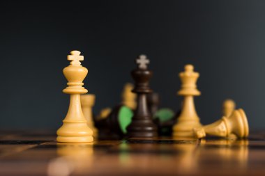 Satranç tahtasında fotoğraflanmış.