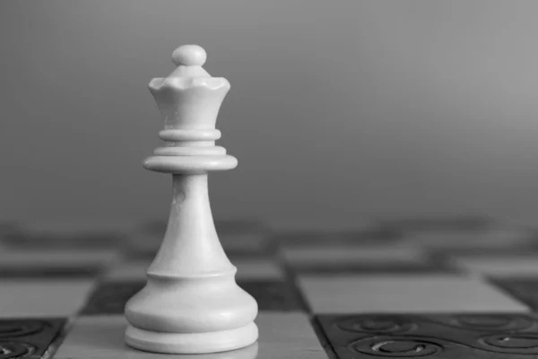 Chess — Stock Photo, Image