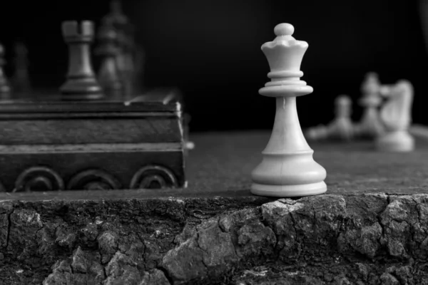 Chess — Stock Photo, Image