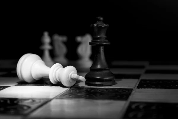 체스 — 스톡 사진