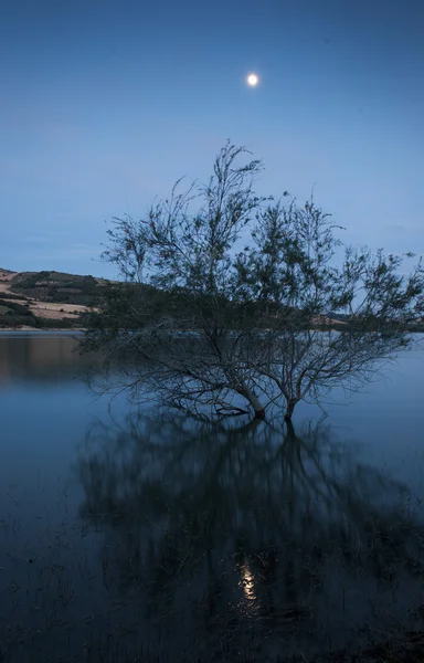 夜晚的湖面 — 图库照片