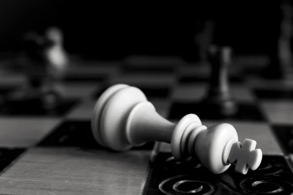 Photographed on a chess board Stock Photo