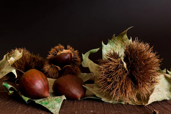 Chestnuts hedgehogs and photographed on a wood base — Stock Photo, Image